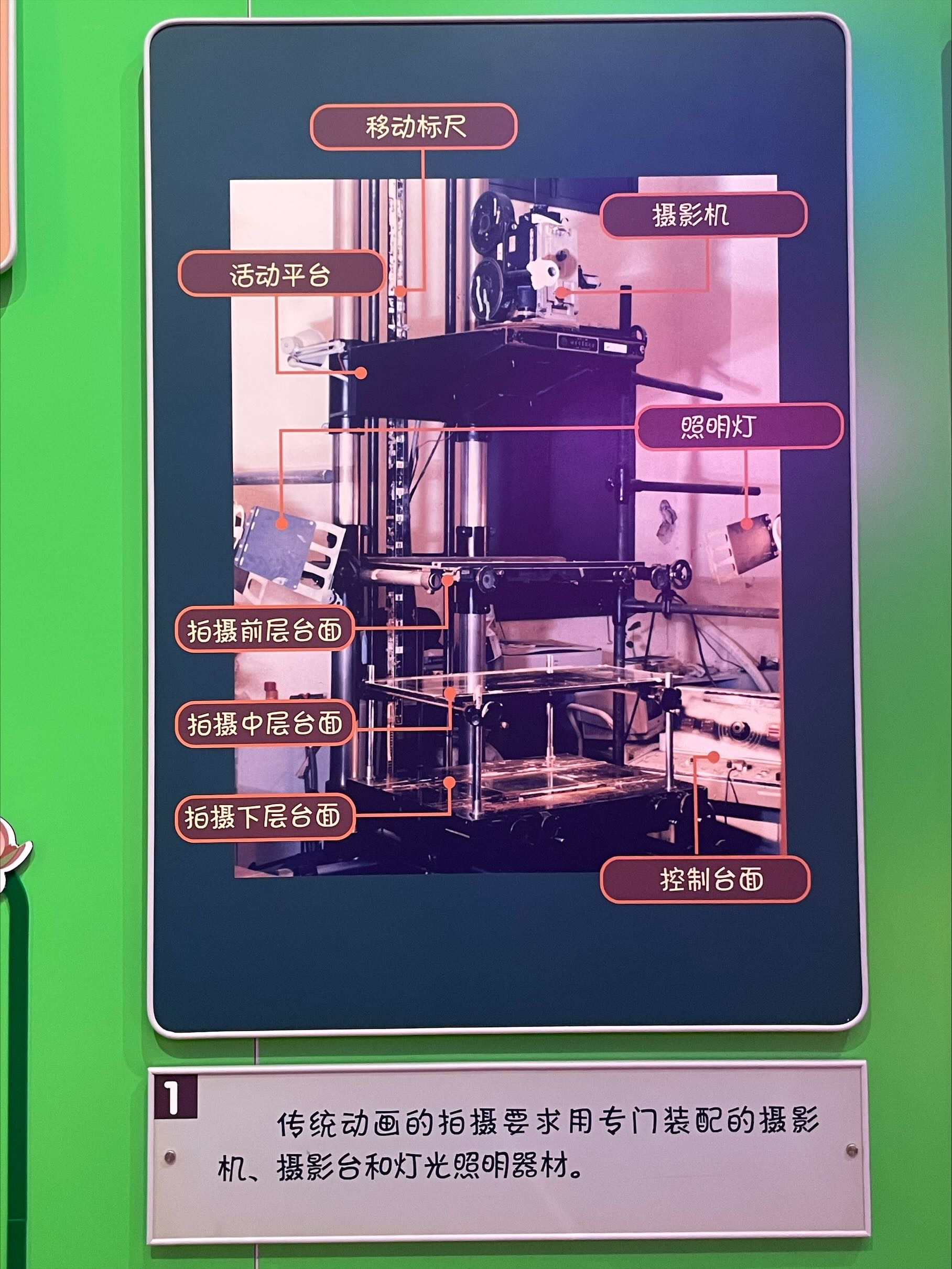 Exported image
