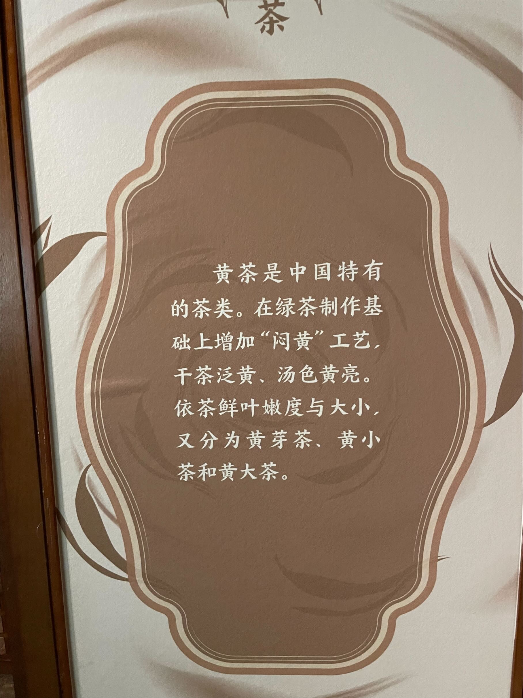 Exported image