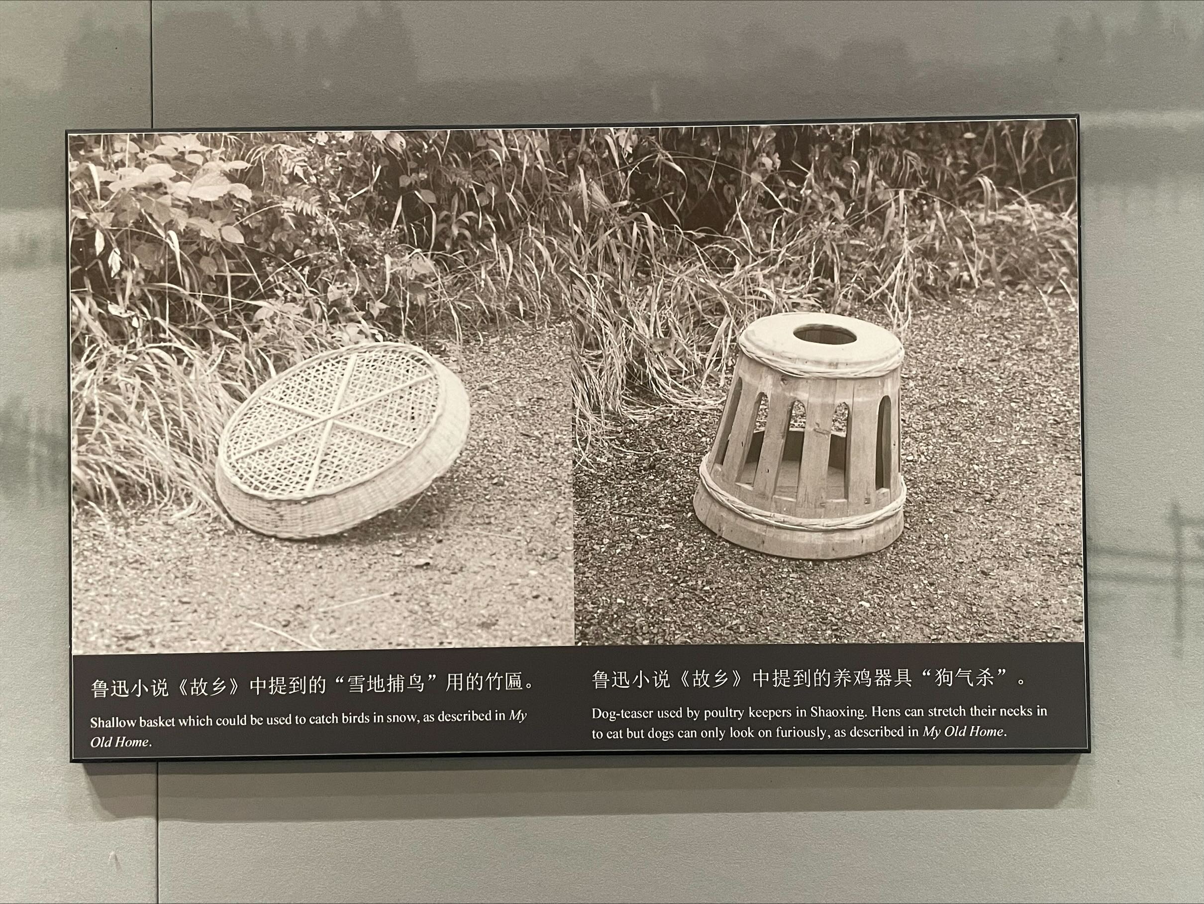 Shallow basket which could be used to catch birds ...