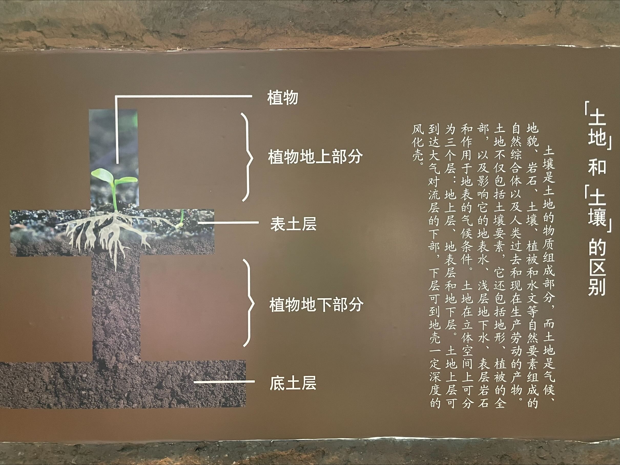 Exported image