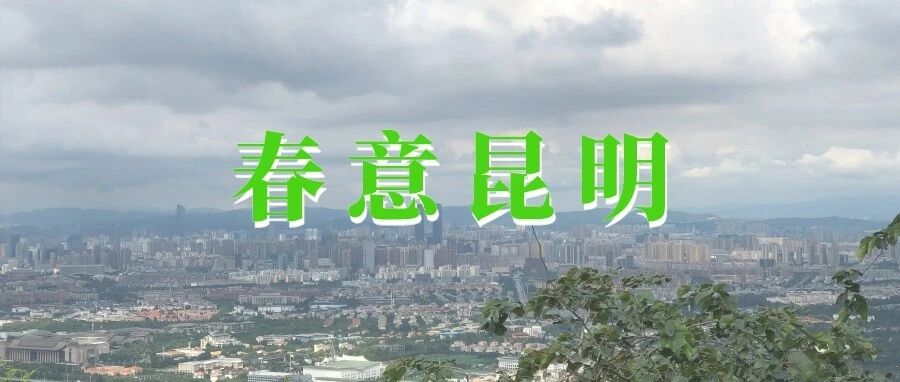 无限飞 | 春意昆明
